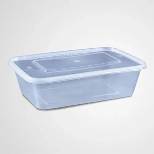 Disposable Plastic Box