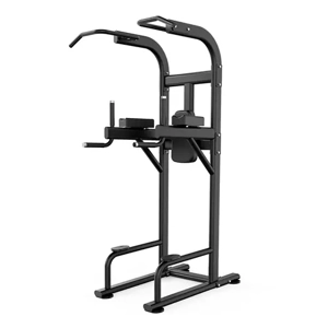 Vertical Knee Raise