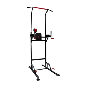 Vertical Knee Raise