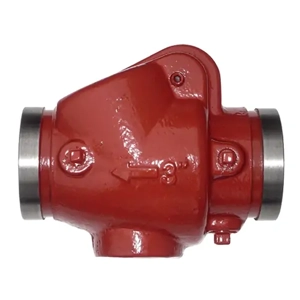 Check Valve