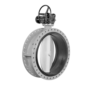 Butterfly Valve