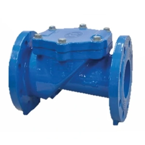 Check Valve