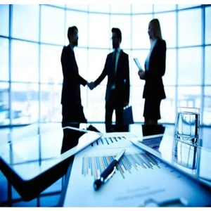 Comprehensive Project Management Service