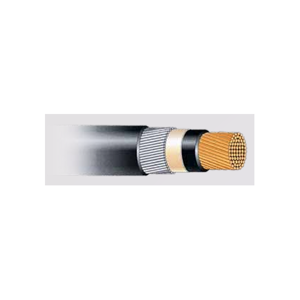 Power Cable