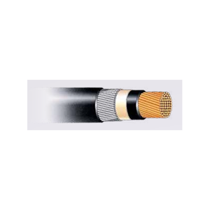 Power Cable