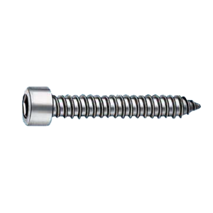 Sheet Metal Screw