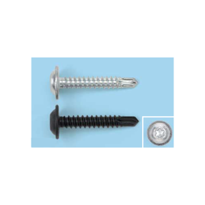 Tapping Screw