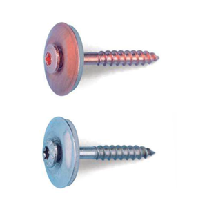 Washer Assembled Screw