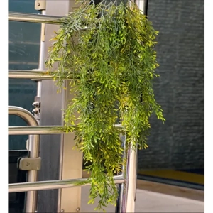 Artificial Plant