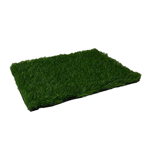 Artificial Turf